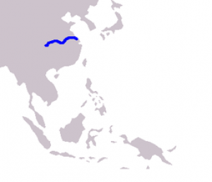 258px-cetacea_range_map_chinese_river_dolphin.png